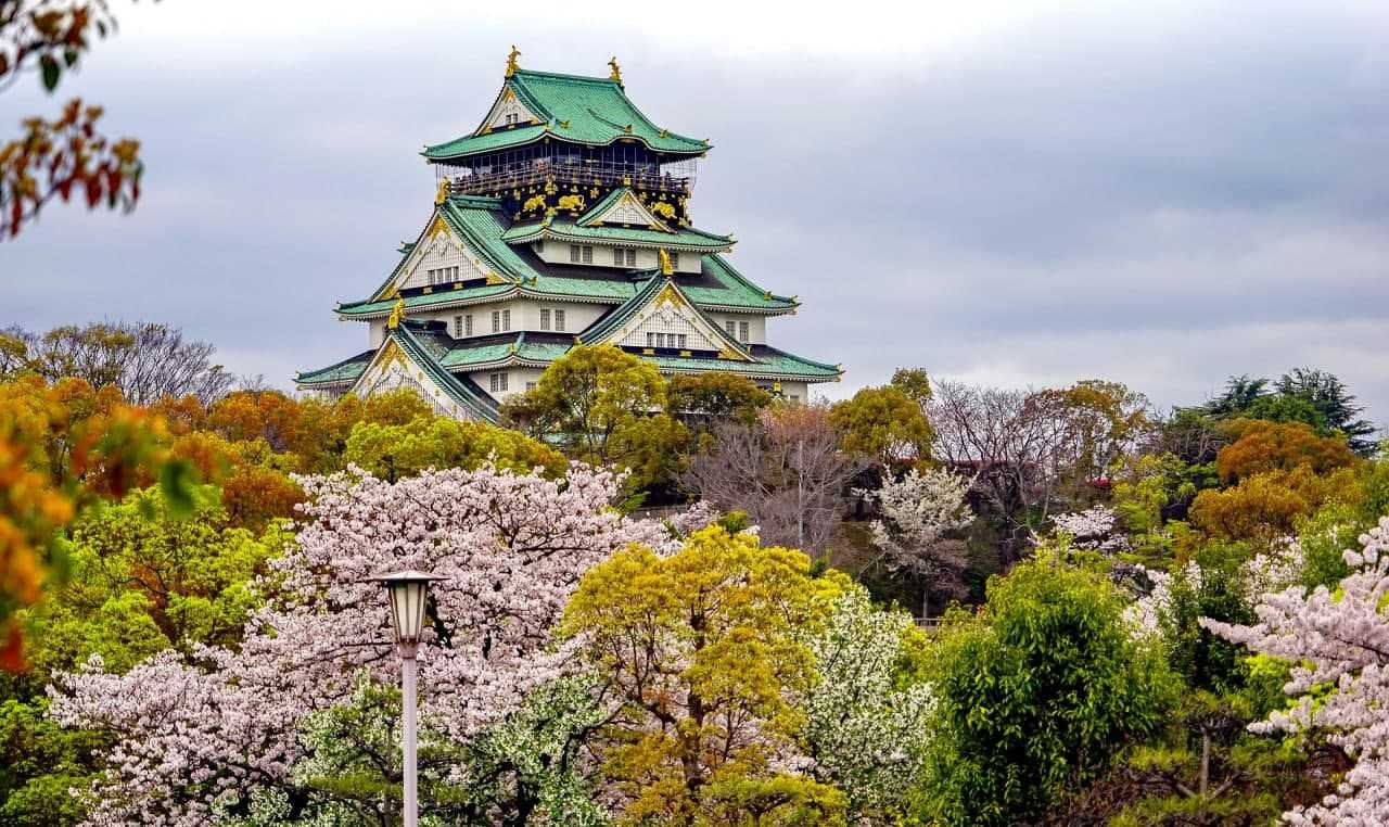 Замок в Осаке. Источник: pixabay.com