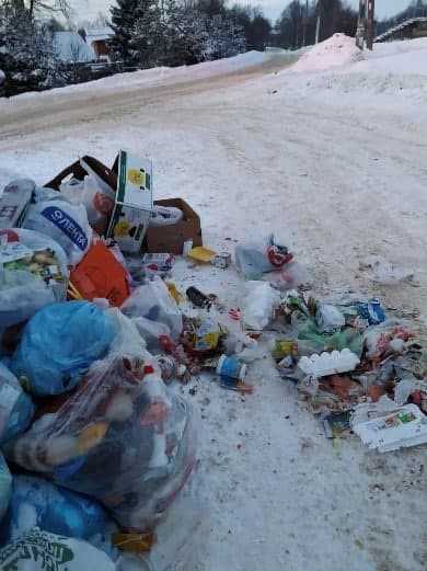 Петербургские дворы завалены мусором из-за неактуальной концепции НЭО